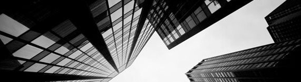 beatrix winistoerfer banner1
